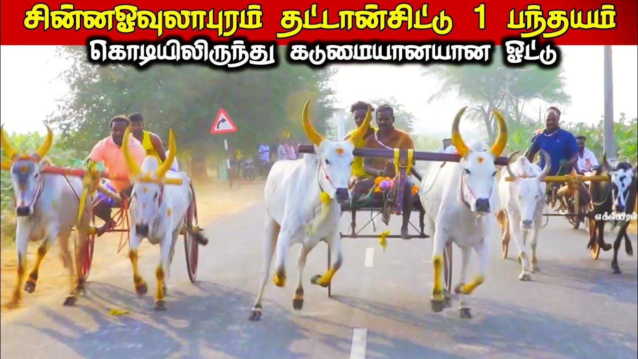 7-3-2026-தட்டான்சிட்டு முதல் சுற்று  சின்ன ஓவுலாபுரம் 