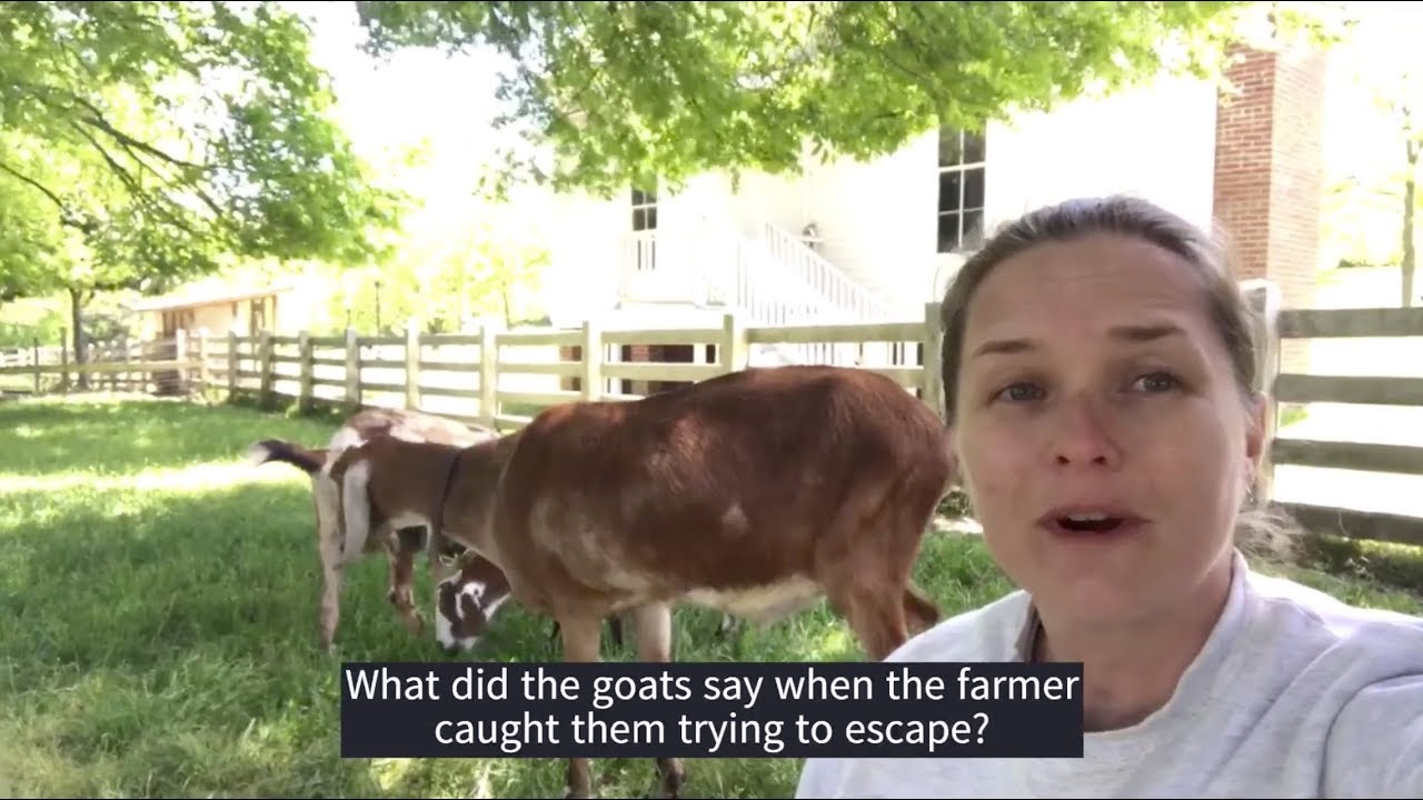 Oak View Farm Funnies, Part 4 YouTube