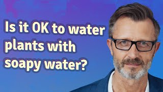 Is it OK to water plants with soapy water?