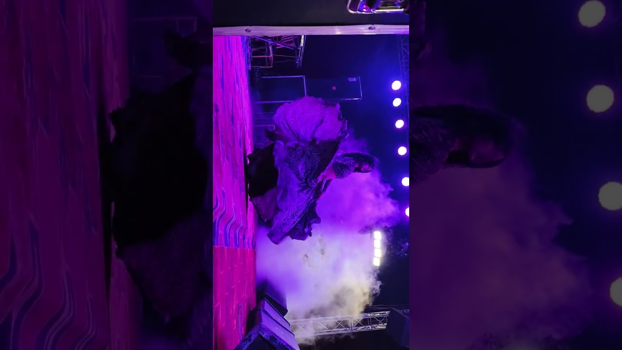 Tauba re tauba Teri kamsin javani ful video