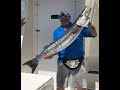 31.5 Pound Barracuda Jumps in Boat!
