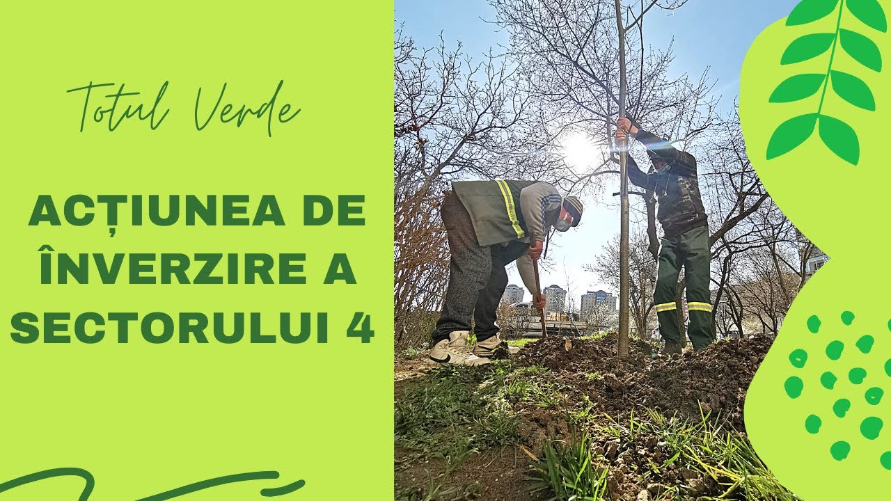 Acțiunea de înverzire a Sectorului 4  I Totul Verde.