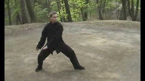 Stas Tai Chi Chen Shi 1