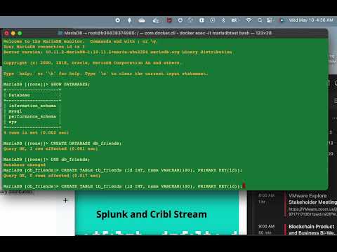 MariaDB Container Running On Macbook (M1) Docker Desktop