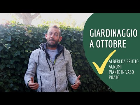 Video: Cura Degli Alberi Ad Ottobre