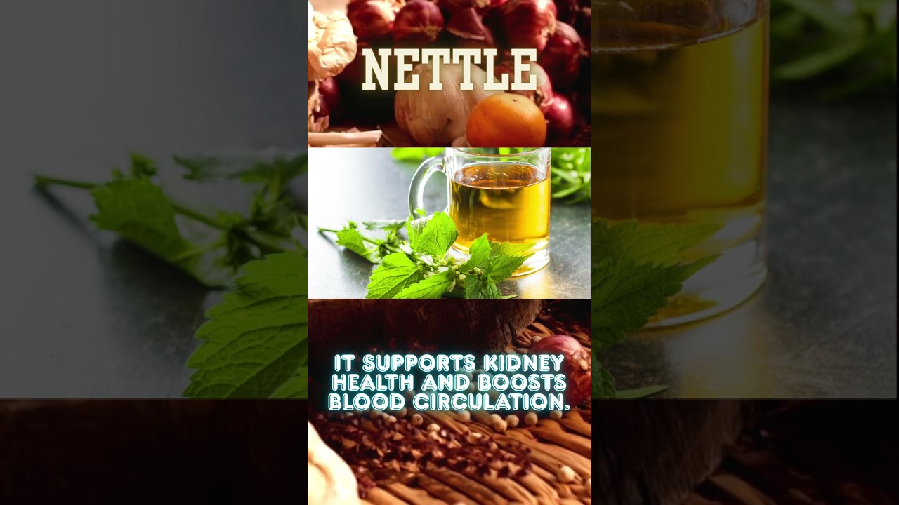 Nettle | Powerful Health Benefits You Should Know