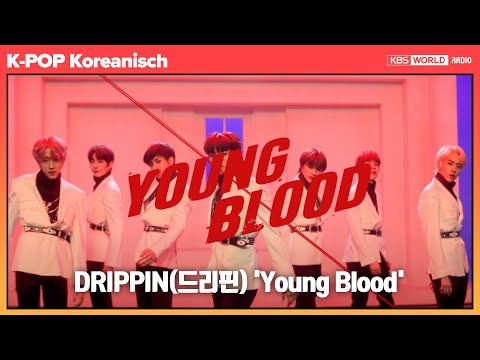 K-POP Koreanisch #33 - Young Blood von Drippin