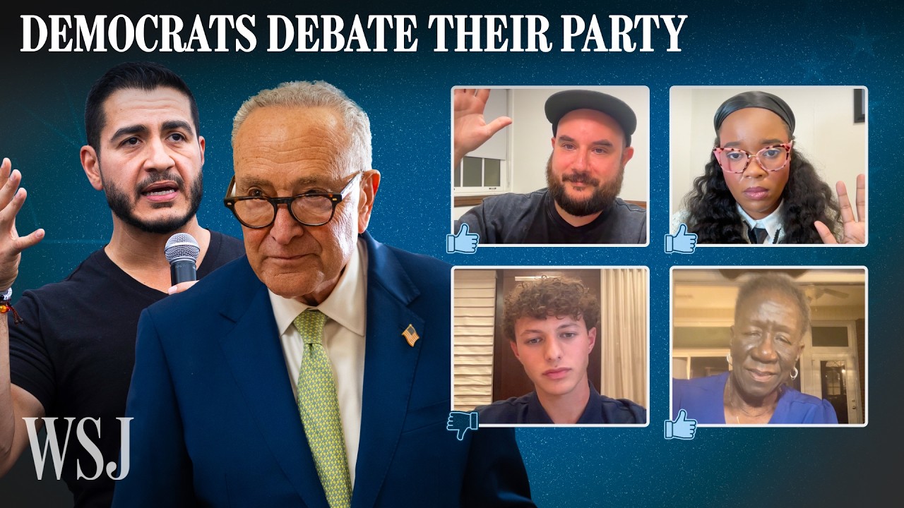 Democratic Voters Discuss Party Challenges | WSJ