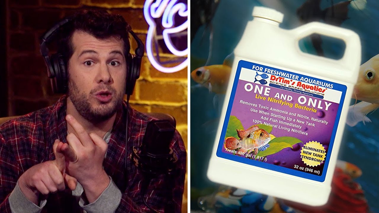 SCOOP FISH TANK CLEANER LADY BOMBSHELL! Louder with Crowder YouTube