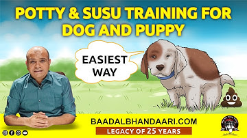 How to Potty & Susu (Pee) Training Puppy or Adult Dog at Home | Indoor or Outdoor | Baadal Bhandaari