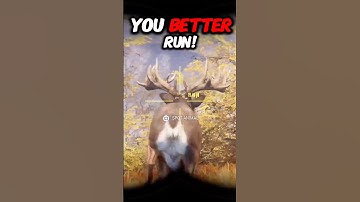 I Played TAG With A GREAT ONE!!! The Hunter: Call of the Wild