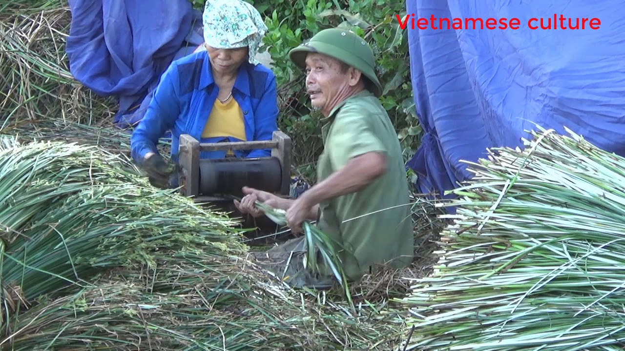 Vietnam tourism ,The beauty of poor rural Vietnam || Vietnamese culture