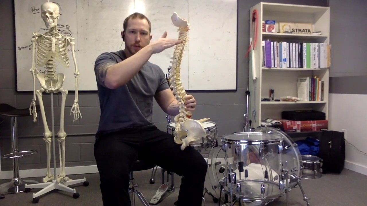 Drum Throne Height Mechanics Prevent Back Pain Increase