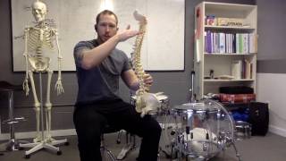 Drum Throne Height Mechanics, Prevent Back Pain, Increase Performance