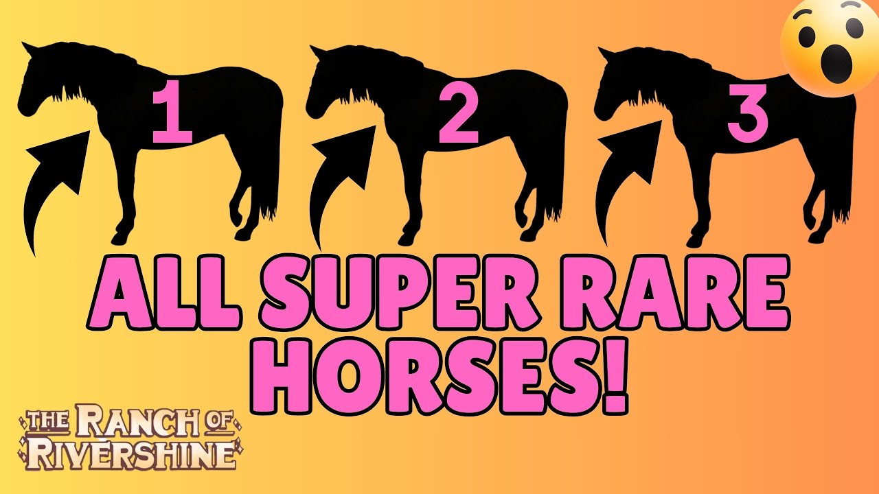 3 NEW UNIQUE WILD HORSES JOIN OUR STABLES! THE RANCH OF  display picture 2