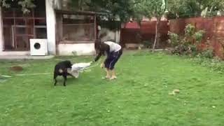 Simran Kaur Mundi With Black Dog