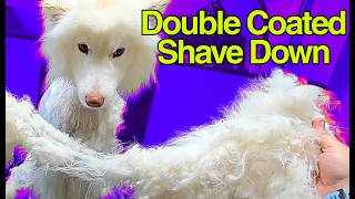 The ONLY option was to do a SHAVE DOWN