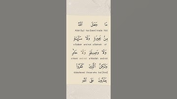 "آيات من الذكر الحكيم | نور وهداية #القرآن_الكريم #تلاوة_خاشعة