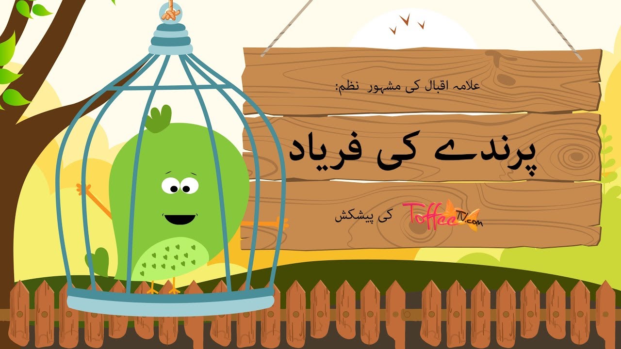 Parinday Ki Faryaad  A Poem By Allama Iqbal  Kids Urdu Poem  Toffee TV