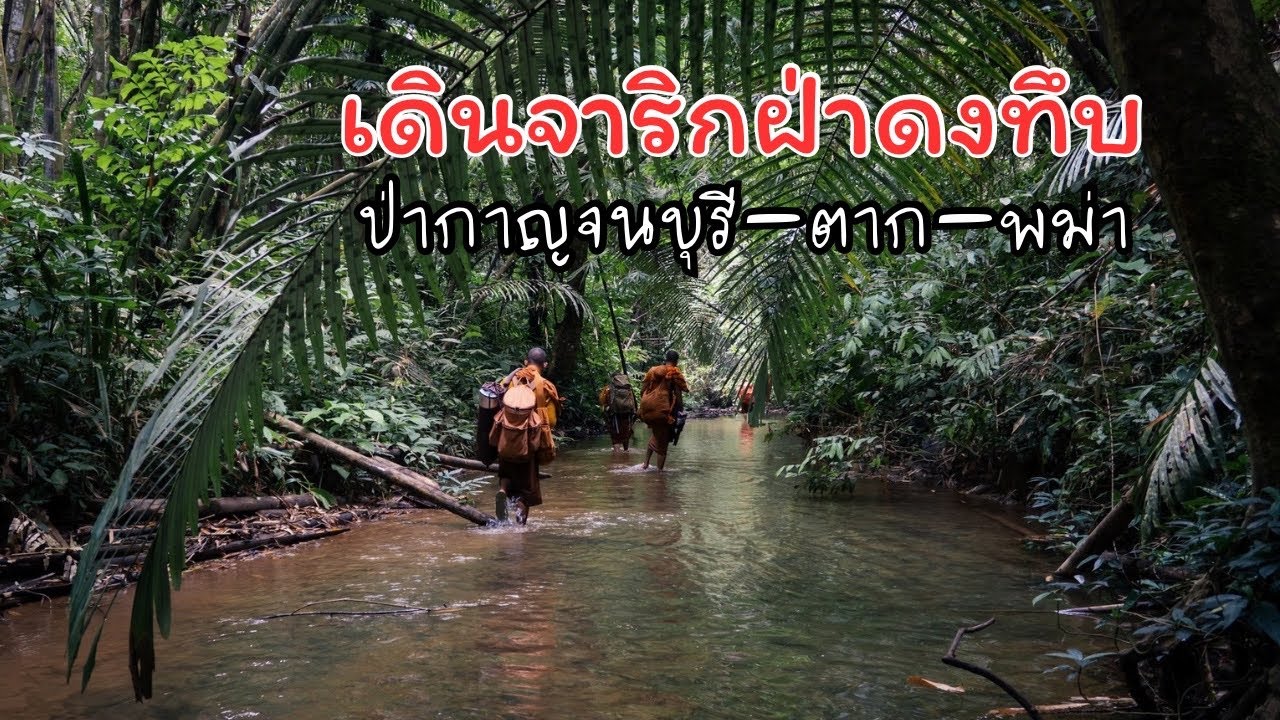 เดินจาริก กาญจนบุรี ตาก พม่า ต้องบุกป่าฝ่าดงทึบ เดินในป่าดิบชื้นต้องระวังทากและลังตังช้าง