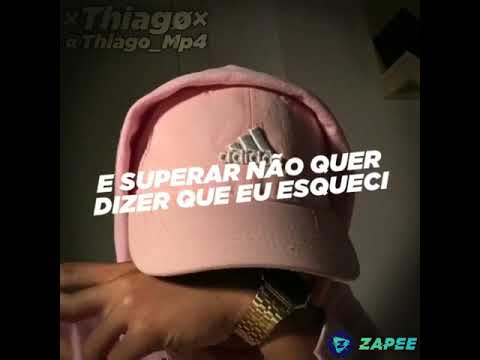 barÕes-da-pisadinha-pra-status