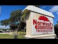 We Ate in a Treehouse | Norwood's Restaurant &amp; Treehouse Bar in New Smyrna Beach