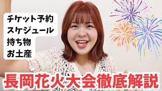 花火大会めぐりの動画