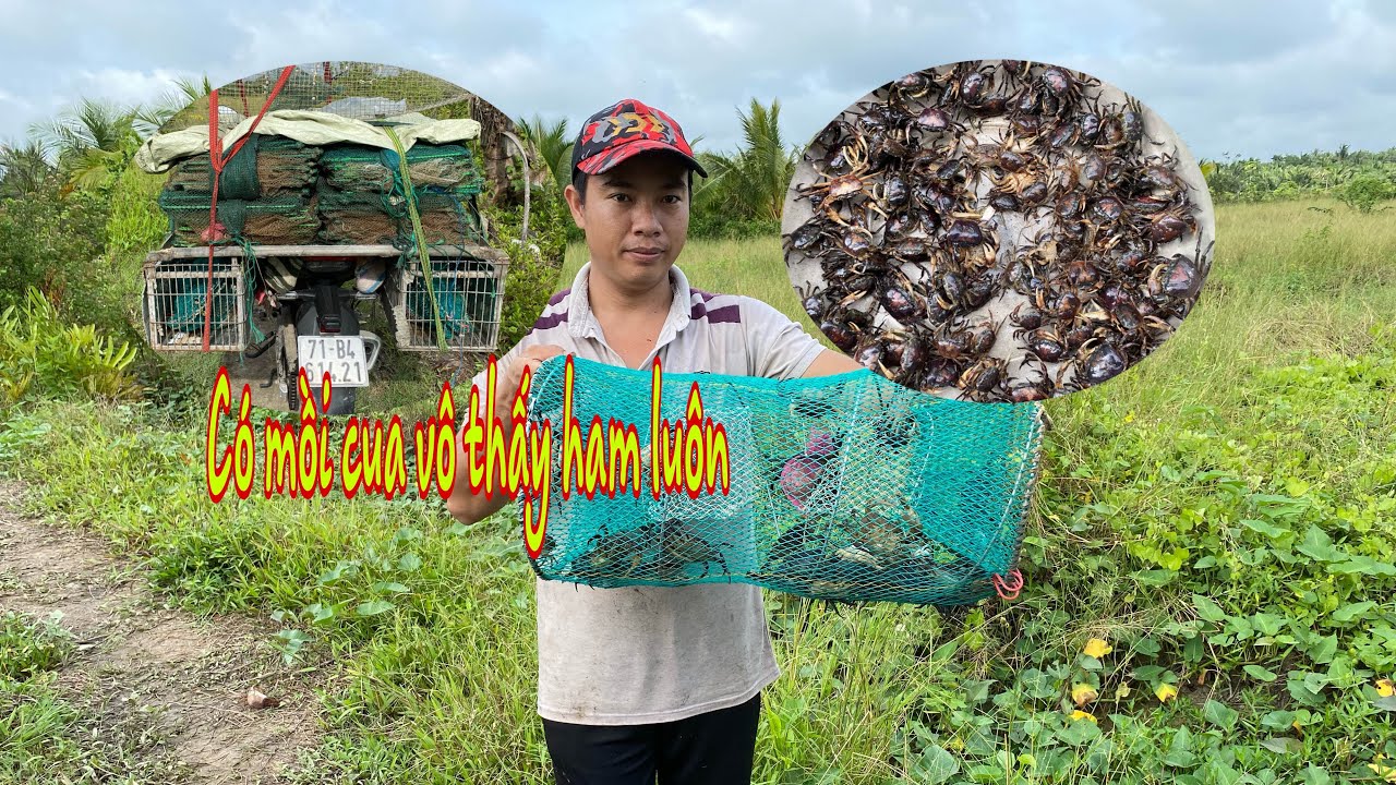 Tập 75: làm mồi đặt cua đồng,chiến một trận lớn và kết quả bất ngờ