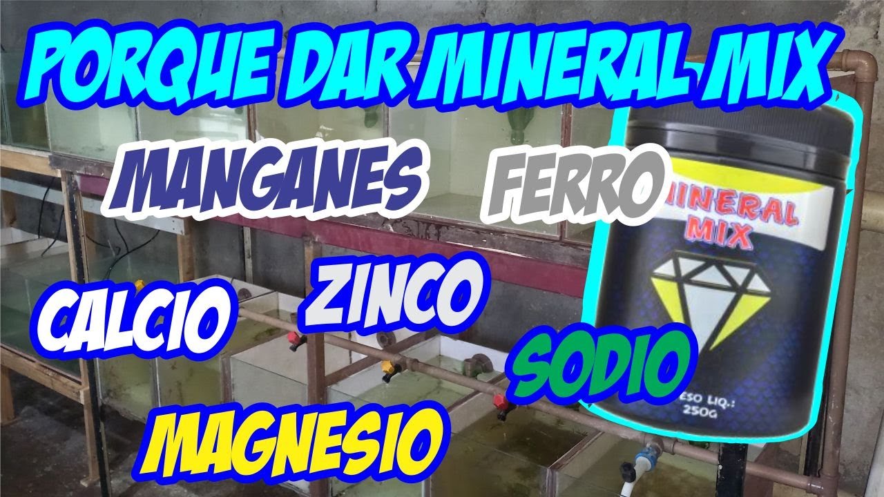 Por que dar mineral mix