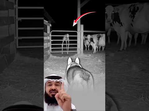 ترى ما لا ي عقل فتكتفي بنظرة صامتة مليئة بالدهشة ابلور لايك اقتباسات  