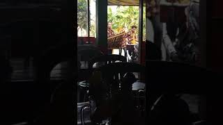 Download Lagu Angklung kebumen MP3