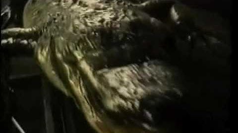 HAUNTEDPROPS.COM  ALLIGATOR Halloween Animatronic Prop HP1107