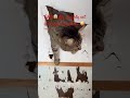 #petlover#cat #naughtypet#iloveanimals #shorts_ Eli Ventayen