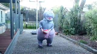Happy Hippo Hump Day ~ Playing Basketball