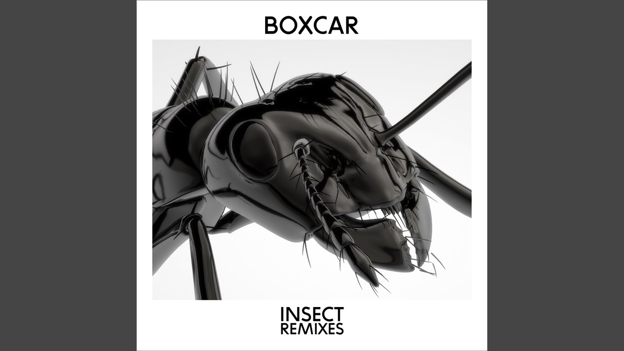 Watch Insect (Racic Radio Edit) on YouTube Watch Insect (Racic Radio Edit) on YouTube