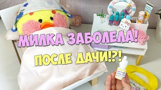 Milka the duck got sick after giving!?! VLOGGER at the dacha! My day with Lalafanfan duck.