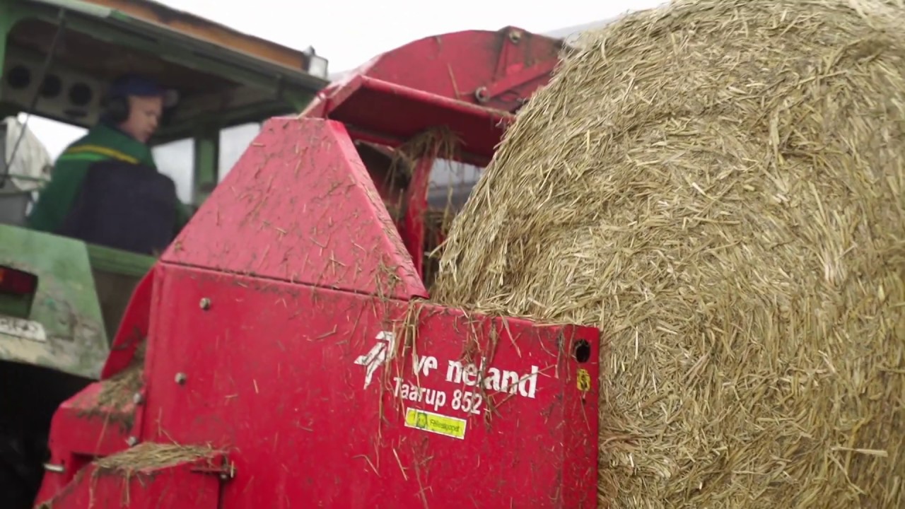 - Jeg har jo ikke tid til å være syk!