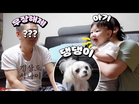 무뚝뚝 할아버지와 손자, 그리고 강아지🐶 화이자2차 부작용, <strong>미용실놀이</strong>?, 7개월, 이유식, 아기
