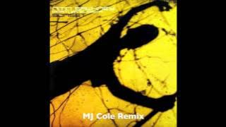 Nitin Sawnhey - Sunset - MJ Cole Remix (UK Garage)