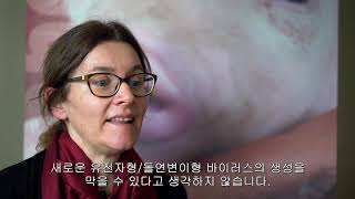 세바Pcv2써코바이러스 탄야 교수Tanja Prof.의 조언