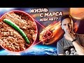 “Следы жизни” в метеорите с Марса. Что нашли в ALH84001 на самом деле. История и новые данные.