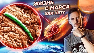 “Следы жизни” в метеорите с Марса. Что нашли в ALH84001 на самом деле. История и новые данные.