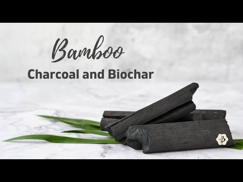 Bamboo and Biochar