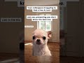 POV: They are hiding something from you #shorts