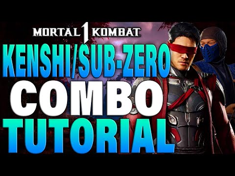 Mortal Kombat 1 Kenshi Combos Subzero Kameo - Mortal Kombat 1 Kenshi Subzero Combo Tutorial