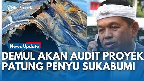 Respons Gubernur Jawa Barat Dedi Mulyadi Soal Patung Penyu Rp 15 M di Sukabumi Berbahan Kardus