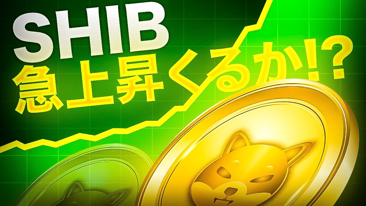 SHIBが今後急騰する！？柴犬コインの最新情報と価格予測をご紹介！！