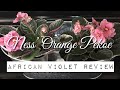 Ness' Orange Pekoe - African Violet Review