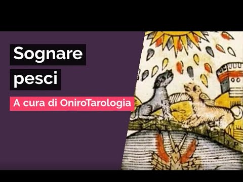 Video: Perché un pesce sogna in un sogno