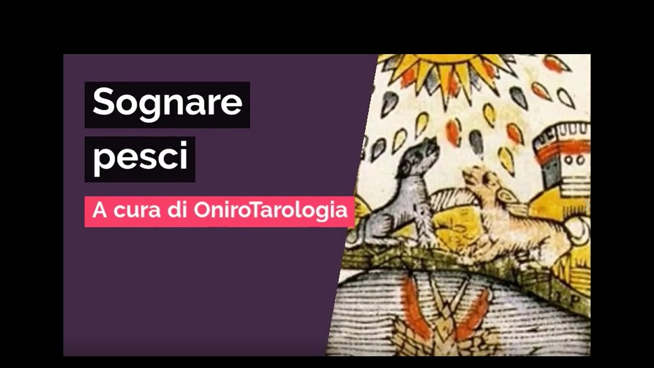 significa erezione del marito